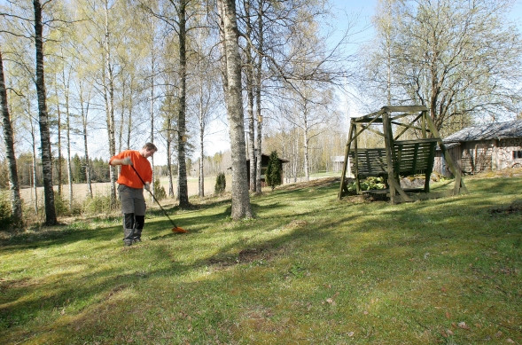 Keväinen nurmikko on haravoitava hellävaroen.