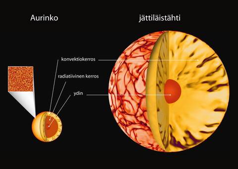 Auringon ja jättiläistähden sisärakenne ja pinnan konvektiokuvio havainnollistettuina. Vain Auringon pintarakenne voidaan nähdä suoraan, muita tutkitaan käyttämällä numeerisia malleja. 