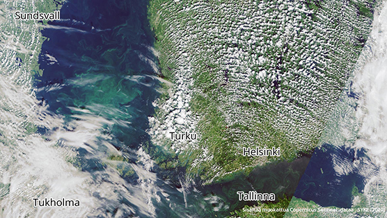 Satelliittikuva Suomen merialueilta keskiviikolta 5.8. Pintalevää ja veteen sekoittunutta levää on havaittavissa Selkämeren avomerialueilla. Saaristomerellä runsas pilvisyys vaikeuttaa havaintojen tekoa. Myös Suomenlahdella on havaittavissa veteen sekoittunutta levää sekä pintakukintoja Suomenlahden länsiosan avomerialueella. Sisältää muokattua Copernicus-dataa.