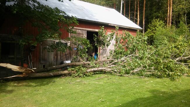 Aila-myrsky nousi vaikutuksiltaan samalle tasolle vuonna 2016 riehuneen Rauli-myrskyn kanssa. 