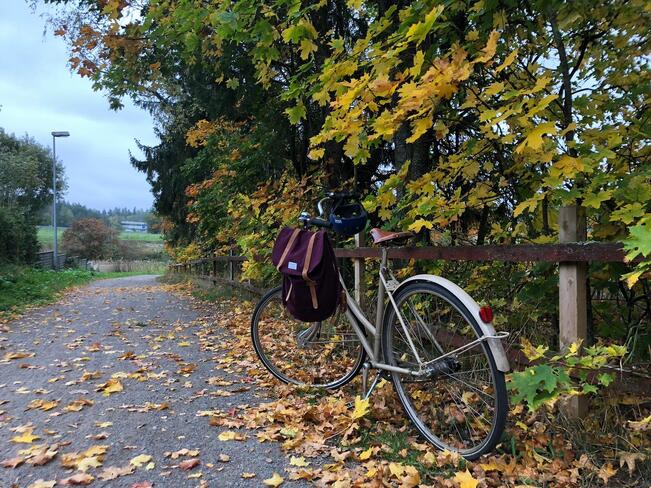 Pyöräilijän yllättävää liukkautta voi aiheuttaa paitsi musta jää, myös esimerkiksi märät lehdet asfaltilla. 