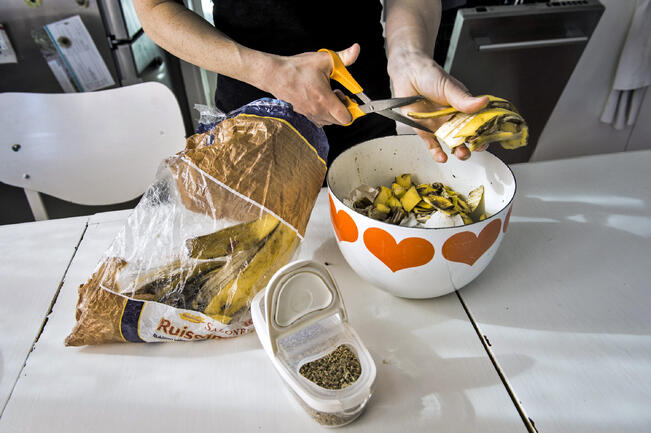 Suomalaiset lajittelevat biojätettä erilliskeräykseen vuosittain 275 miljoonaa kiloa.