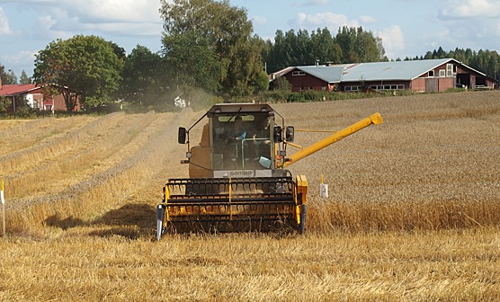 Nestemäiset kierrätyslannoitevalmisteet aiheuttavat keskimääräistä mineraalilannoitetta vähemmän ilmastopäästöjä. 