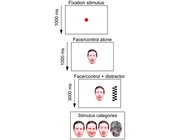 Silmänliikekokeessa käytetty overlap-koe. Tietokoneen näytölle esitetään ensin vauvan tarkkaavaisuutta houkutteleva kohdistusärsyke. Tämän jälkeen näytölle esitetään kasvokuva (neutraali, iloinen tai pelokas ilme) tai kasvojenmuotoinen kontrollikuva. 1000ms jälkeen näytön laidalle ilmestyy häiriöärsyke (geometrinen kuvio). Kasvokuva ja häiriöärsyke viipyvät näytöllä yhdessä 3000ms ajan. Kokeessa tutkitaan katseen irrottautumisen todennäköisyyttä eri kasvokuvista kohti häiriöärsykettä. Kokeen pohjalta voidaan laskea myös nk. pelkovinouma-muuttuja, joka kuvaa pelokkaan kasvon vs. neutraalin ja iloisen kasvon vaikutus katseen irrottautumisen todennäköisyyteen.