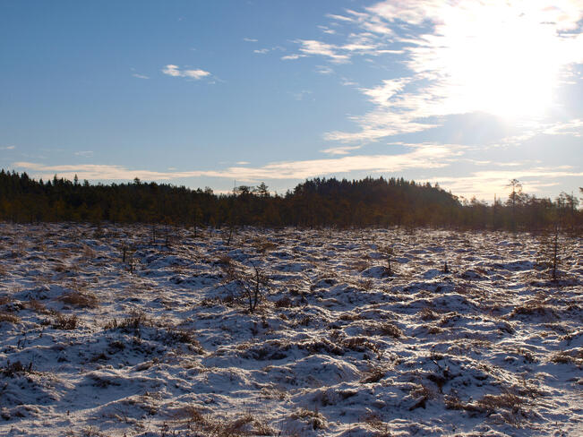 Monet retkeilyreitit soveltuvat kuljettavaksi talvella vaikkapa lumikengillä ja vähäisen lumen aikaan hyvillä talvikengilläkin.
