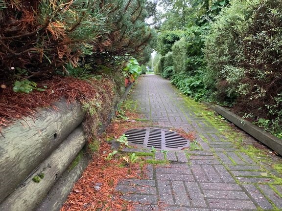 Syksy on oikea aika tyhjentää sadevesikaivot. Näin varmistetaan kaivon toiminta tulevan talven aikana, ja vesivahingon riski pienenee.