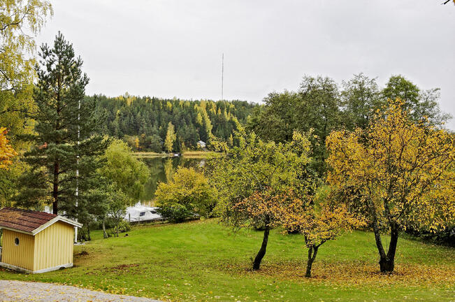 Jos kasvin lehdissä näkyy syksyn värejä, ollaan syyslannoituksessa auttamatta myöhässä.