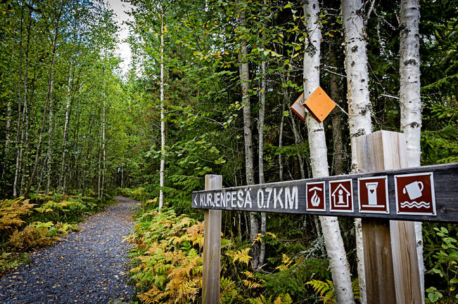 Kurjenrahkan kävijämäärä putosi lähes viidenneksen.