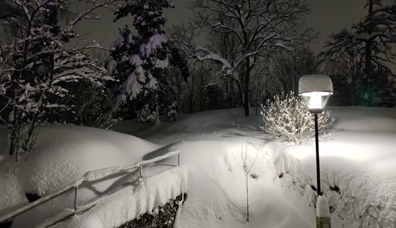Luminen pihamaisema Helsingissä 13. joulukuuta.