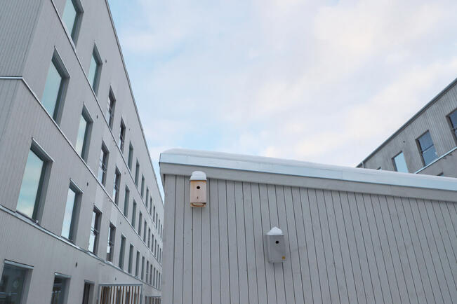 Puukerrostalo Kirsikka ja toinen betonikerrostalo Kide ovat Hirvensalossa Arolassa.