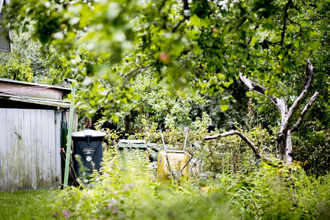 Kompostointi-ilmoitus pitää tehdä, jos kiinteistöllä on kompostori biojätteille.