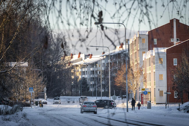 Eläkeläisten ja etnisten vähemmistöjen osuudet ovat myös kasvaneet merkittävästi suuressa osassa lähiötä