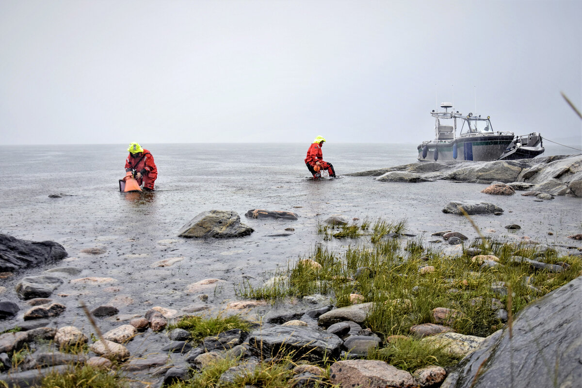 Saaristomeren tila ei ole parantunut toivotusti toimenpiteistä huolimatta. Erityisesti pääosin maataloudesta peräisin oleva fosforikuormitus on edelleen liian suurta.