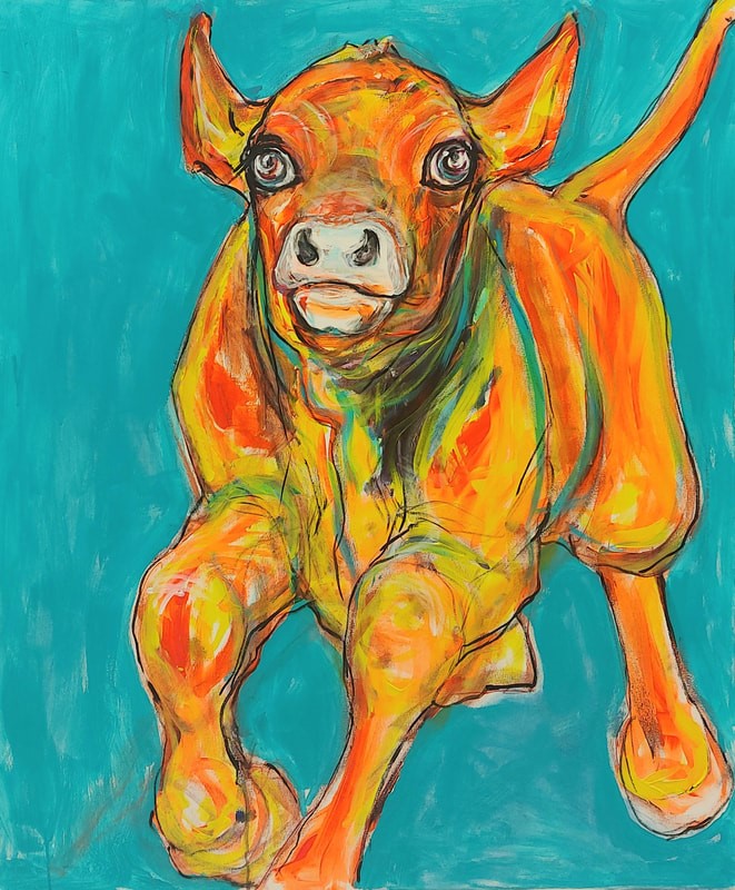 Näyttely esittää kevätlaitumelle kirmaavia vasikoita.