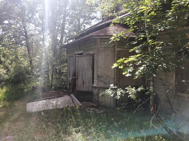 - Autiotaloharrastuksessa parasta on tarinat. Mietit, kuka täällä on asunut, miksi tämä on tyhjentynyt, kertoo talobongari Sara Lindström. Kuva on otettu Lounais-Suomessa saman lajin parissa, joten paikka jääköön tavan mukaisesti paljastamatta. 