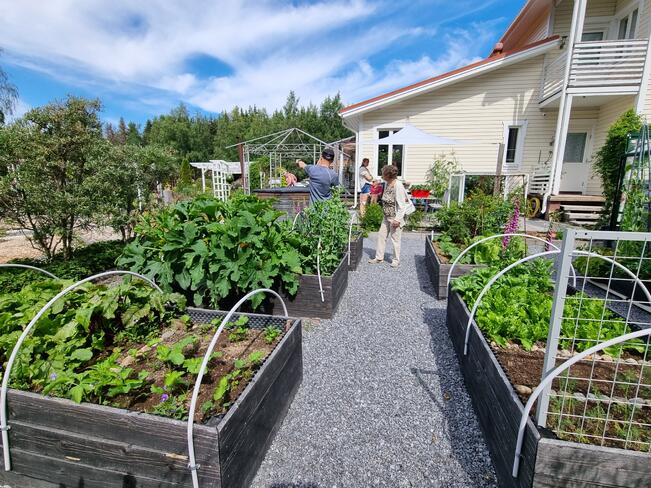 Kirsin hyötypuutarha Vaasassa tarjosi monia vinkkejä muille harrastajille.