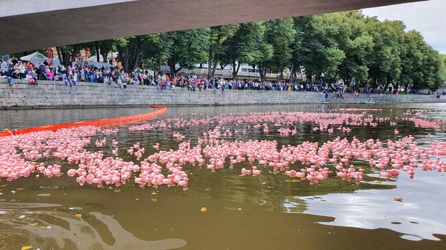 4 000 miniposankkaa kisaa puomitetulla radalla Turun päivänä 17. syyskuuta Aurajoessa.