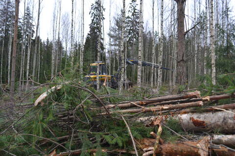 Metsäteitä on kunnostettu lähes kaksinkertainen määrä viime vuoteen verrattuna. 