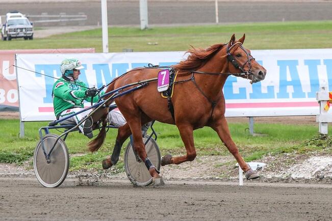 V.G. Voitto on aikansa Kriterium-, Oulu Expres-, Derby-, Varsakunkku- ja Pikkukunkku-voittaja. Ikäluokkamenestyjä kilpailee Turussa ensimmäistä kertaa kansainvälisessä lähdössä.