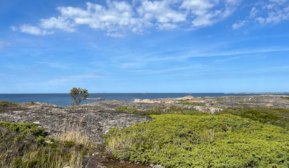 Maisemaa Paraisten Korppoon Österskärin alueelta.  