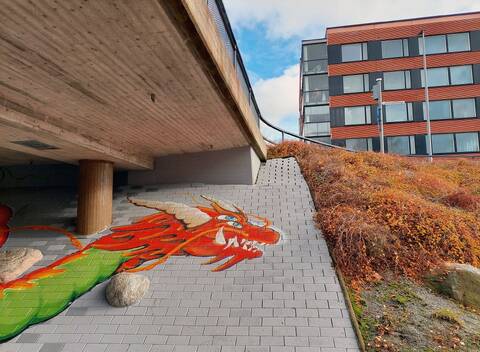 Graffitin tekeminen on sallittu ainoastaan Raision kaupungin hallinnoimissa alikulkutunneleissa.