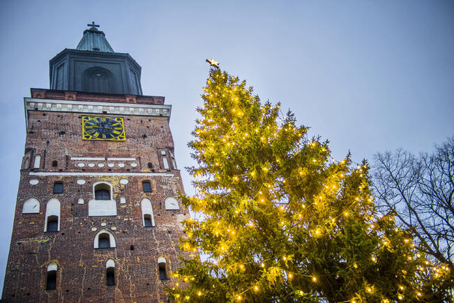 Valtakunnan ykköskuusi tulee tänä vuionna Maskusta. Kuva on viime joululta.