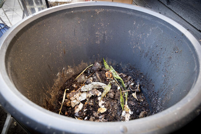 Kotikompostoinnin suosio on kasvanut räjähdysmäisesti.