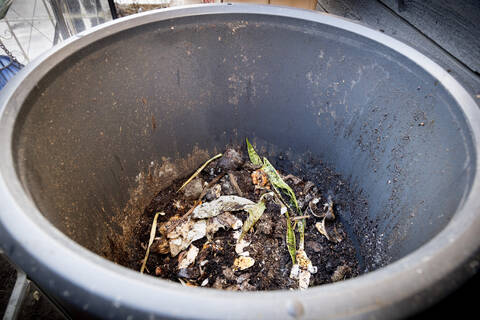 Kotikompostoinnin suosio on kasvanut räjähdysmäisesti.