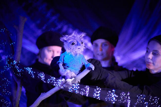 Seikkailupuiston nähdään nukketeatteriesitys Hämärinkäinen.