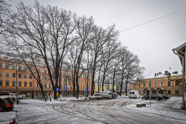 Autot halutaan pois kaupungintalon pihalta.