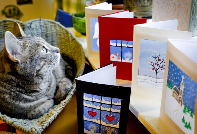 Kampanjassa kerättiin joulukortteja kotihoidon ja asumispalvelujen ikääntyneille asiakkaille.