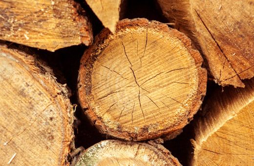 Loppuvuonna puukauppaa k&#228;ytiin aiempia vuosia v&#228;hemm&#228;n.