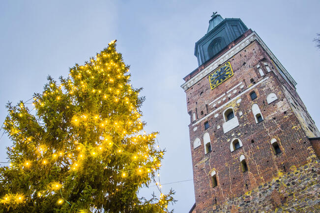 Haussa on valtakunnan ykköskuusi ensi jouluksi.