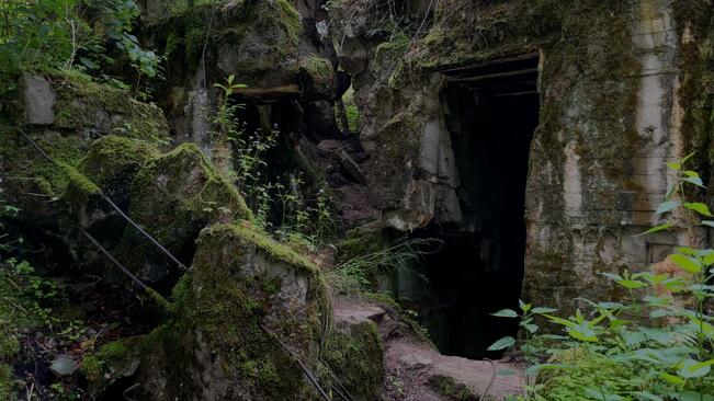 Pysäytyskuva R Colville teoksesta Bystander.