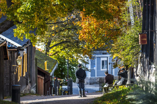 Luostarimäen museokortteli kilpailee Vuoden museo 2024 -kilpailun voitosta.