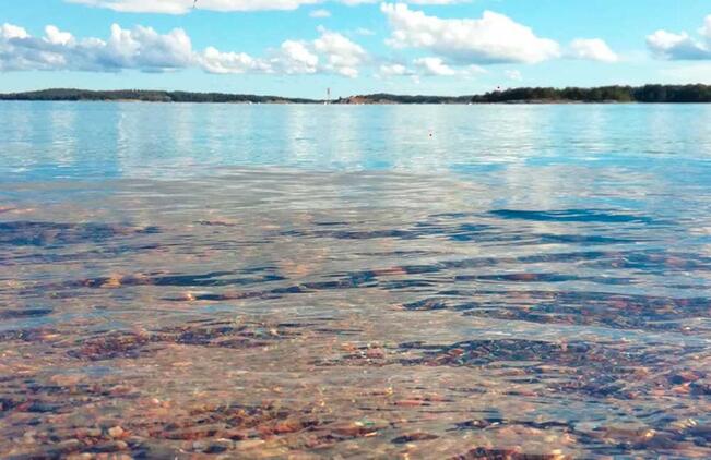 Rehevöityminen on Itämeren suurin ongelma.
