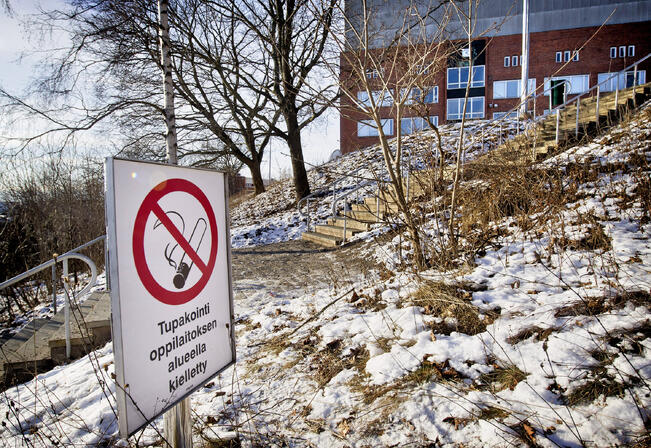 Juhannuskukkulan koulutalon ulkoseinien valesokkelirakenne on mikrobivaurioitunut, mikä vaikuttaa merkittävimmin sisäilman laatuun. Rakennuksen havaittiin olevan alipaineinen. Ulkoseinärakenteet olivat epätiiviitä.