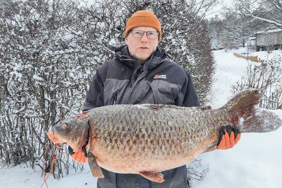Arto Vihannon (kuvassa) ja Arto Hyttisen Hiidenvedeltä verkolla joulukuussa saama 22,20 kilon karppi oli niin iso, ettei sille meinannut löytyä punnituspaikkaa.