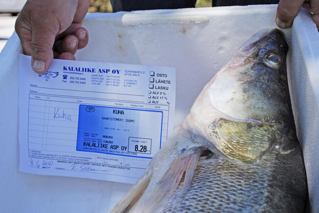 Kuhan valtakunnallinen alamitta nostettiin 37 senttimetristä 42 senttimetriin vuonna 2016.