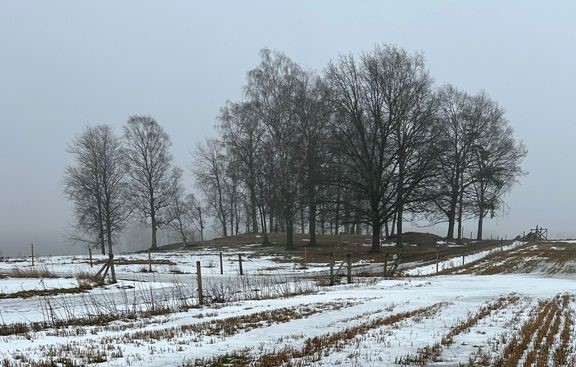 Sek&#228; maaseudulla ett&#228; kaupungeissa erilaiset luontokohteet mainitaan usein, kun ihmisi&#228; pyydet&#228;&#228;n kuvaamaan arkimaisemiaan. Viikin peltoja Helsingiss&#228;.  