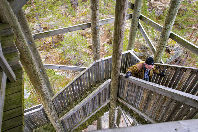 Turun Lintutieteellisellä yhdistyksellä on Tornien taistossa viisi yhdistystornia. Yhdistystorneina toimivat Järvelän kosteikon lintulava Littoisissa, Friskalanlahden lintulava Hirvensalossa, Pettebyn lintutorni Paraisilla, Raisionlahden lintutorni ja Halikonlahden uusi lintulava Salossa. 