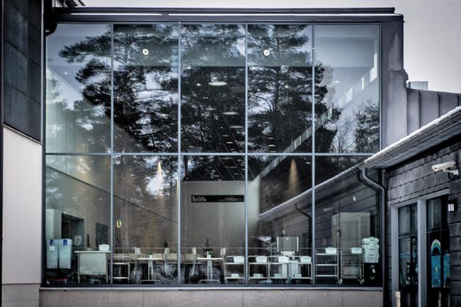 Ilman opiskelupaikkaa jääneille on tarjolla neuvoja ja vinkkejä.