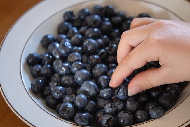 Mustikkasesonki on käsillä.