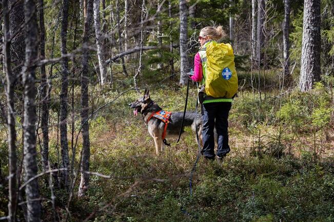 Vapepalla on yli 12 000 koulutettua vapaaehtoista.
