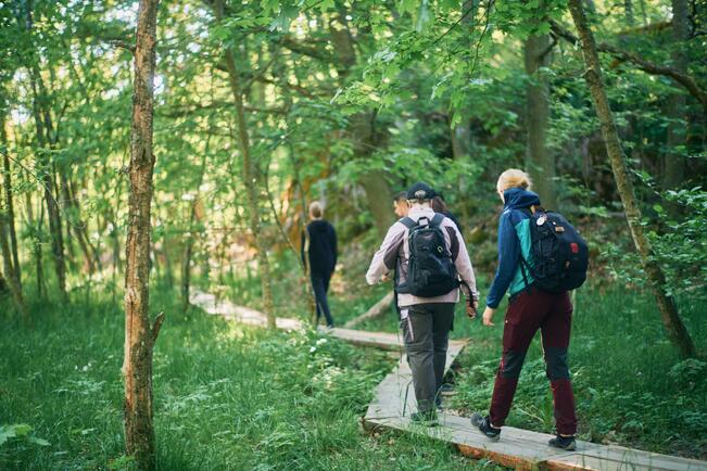 Myös pyhiinvaellusreiteillä on ollut vilkasta.