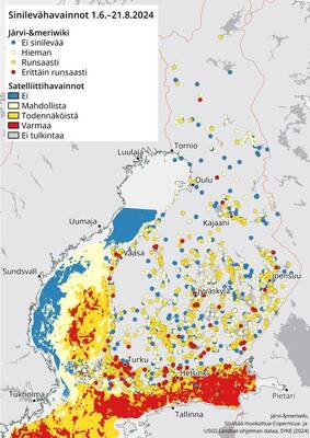 Yhteenveto kesä-elokuun aikana Järvi-meriwikiin tallennetuista sinilevähavainnoista ja avomerialueiden satelliittihavaintojen perusteella tulkituista kesäkauden pintaleväalueista. Kartassa näkyy sinilevätilanne runsaimmillaan havaintopaikoilla ja merialueilla. Sinilevähavainnot: Järvi-meriwiki, valtakunnallinen sinileväseuranta ja Syken satelliittihavainnot. Satelliittihavaintojen ja Järvi-meriwikin havaintoluokittelun väriasteikot vastaavat toisiaan. 