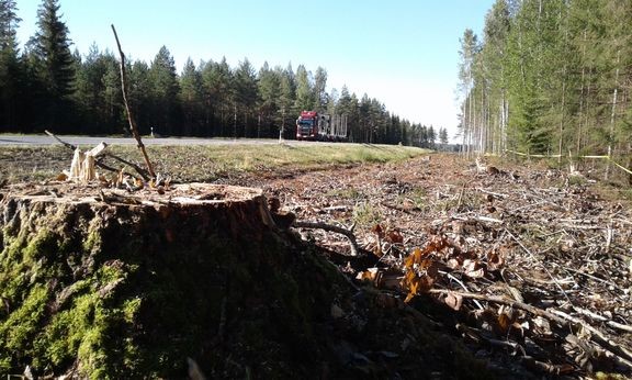 Kasitien tiealueelta poistetaan puustoa, vesakkoa ja pensastoa.
