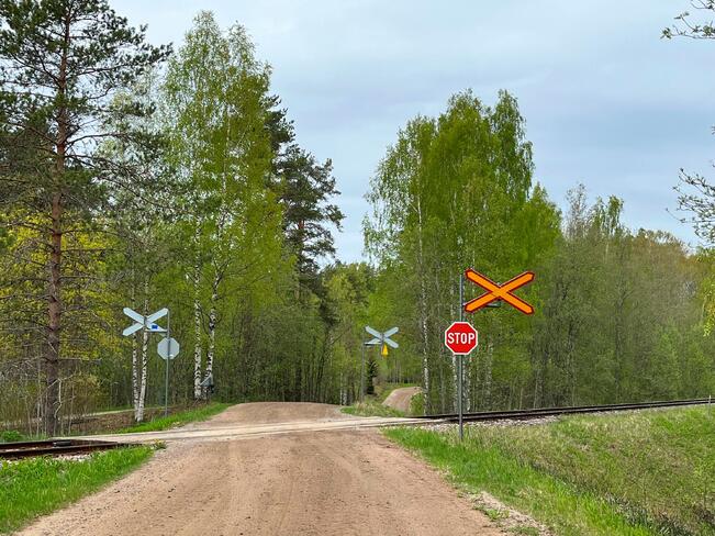 Noin 71 prosenttia tasoristeyksistä on ilman tasoristeyslaitosta.