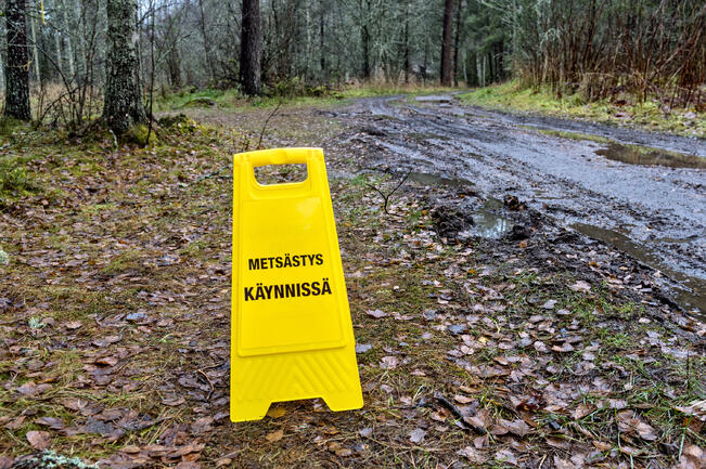 Metsäkauriin ja valkohäntäpeuran lisäksi Ruissalossa metsästetään supikoiraa, minkkiä, kettua sekä näätää.