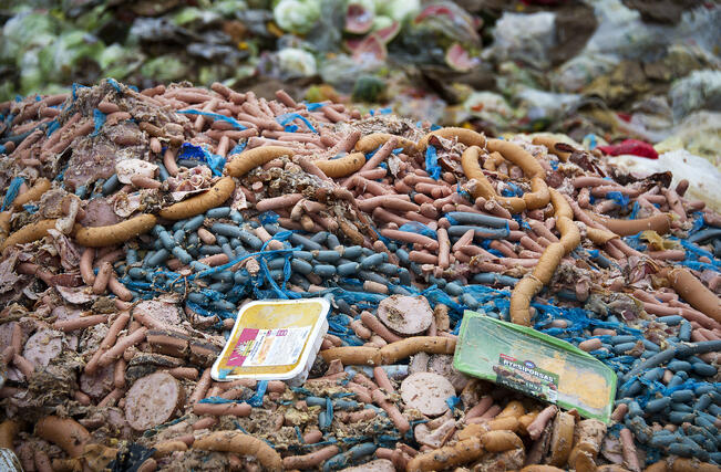 Nelihenkinen perhe heittää vuodessa noin 500 euroa roskikseen ruoan muodossa.